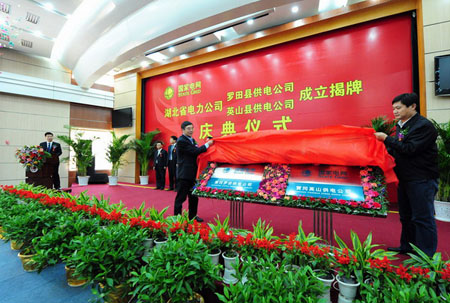 湖北省電力公司2010年正式揭牌成立公司有那些？
